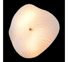 Настенный светильник Crystal Lux CONTESSA AP2.2