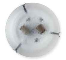 Настенный светильник Toplight Julianna TL9301Y-02SM