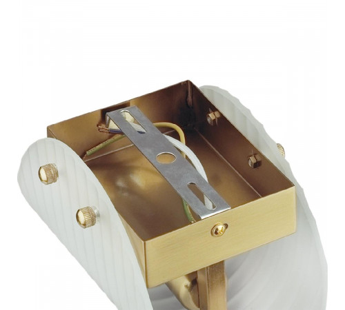 Настенный светильник Lumion Fioro 6571/1W Настенный светильник Lumion Fioro 6571/1W