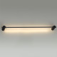 Настенный светильник Odeon Light Dalia 4395/8WL