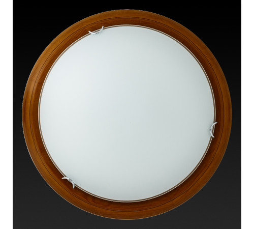 Настенный светильник Toplight Hillary TL9023Y-02OA