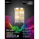 Настенный светильник Lumien Hall Dzhozu LH0063/2W-GD-CL