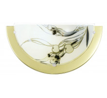 Настенный светильник Eglo Planet 3 83201