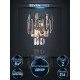 Настенный светильник Lumien Hall Iterri LH0061/2W-CR-SMK-CL