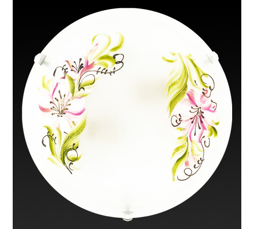 Настенный светильник Toplight Zulad TL9391Y-02WH