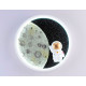 Настенный светильник Ambrella Light Wallers FW11101