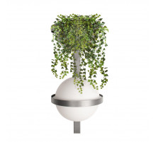 Настенный светильник Loft IT Jardin 10121W/B Dark grey