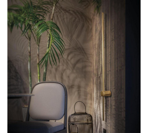 Настенный светильник Loft IT Rays 10158GD