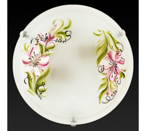 Настенный светильник Toplight Zulad TL9391Y-02WH