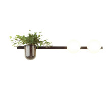 Настенный светильник Odeon Light Flower 4681/2W
