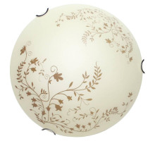 Настенный светильник Arte Lamp Ornament A4920PL-1CC