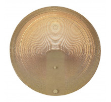 Настенный светильник ST Luce Fossil SL6900.501.16