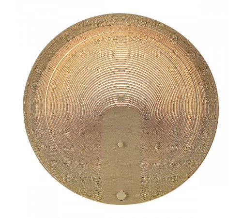 Настенный светильник ST Luce Fossil SL6900.501.16