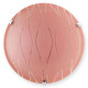 Настенный светильник Toplight Xithi TL9291Y-02PN