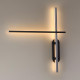 Настенный светильник Odeon Light Rudy 3890/20WLP