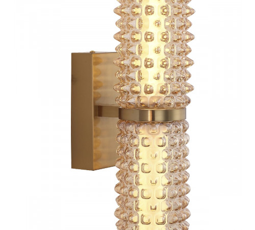 Настенный светильник ST Luce Saguaro SL6144.301.01 Настенный светильник ST Luce Saguaro SL6144.301.01