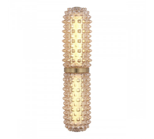 Настенный светильник ST Luce Saguaro SL6144.301.01 Настенный светильник ST Luce Saguaro SL6144.301.01