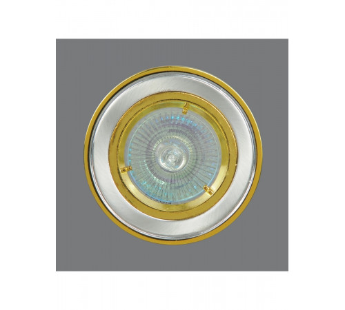 Встраиваемый светильник Elvan TCH-204-MR16-5.3-SS-G