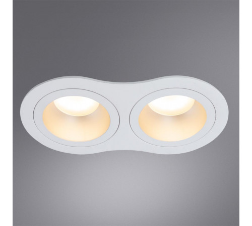 Встраиваемый светильник Arte Lamp Alkes A2161PL-2WH Встраиваемый светильник Arte Lamp Alkes A2161PL-2WH