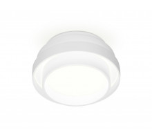 Накладной светильник Ambrella Light TN601