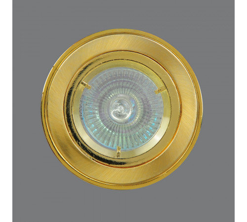 Встраиваемый светильник Elvan TCH-204-MR16-5.3-SG-G