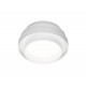 Накладной светильник Ambrella Light TN601