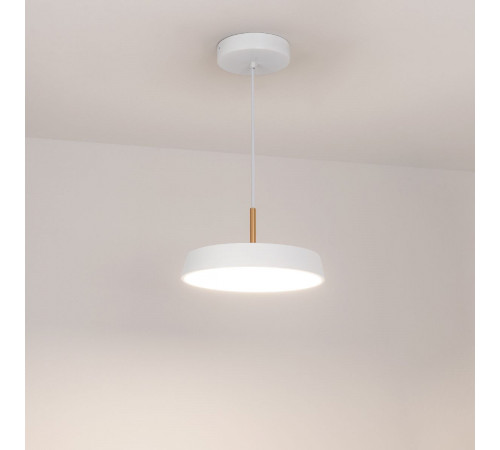Подвесной светильник Arlight SP-ELEGANT-R300-17W Day4000 (WH, 120 deg, 230V) 033919(1) Подвесной светильник Arlight SP-ELEGANT-R300-17W Day4000 (WH, 120 deg, 230V) 033919(1)
