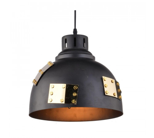 Подвесной светильник Arte Lamp Eurica A6024SP-1BK