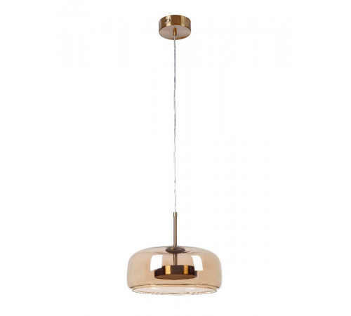 Подвесной светильник Myfar Charlie MR2130-1PL Подвесной светильник Myfar Charlie MR2130-1PL