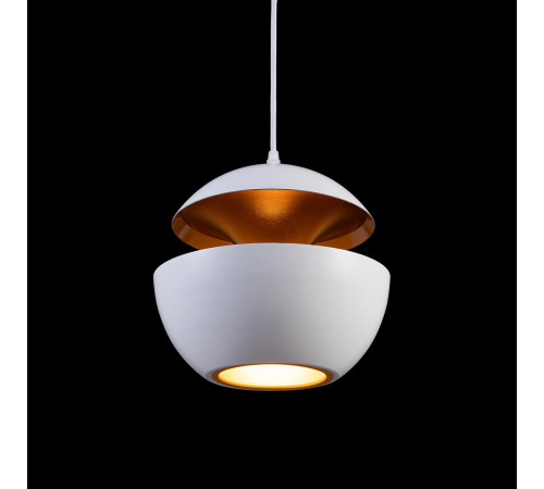 Подвесной светильник Loft IT LOFT2213-A Подвесной светильник Loft IT LOFT2213-A