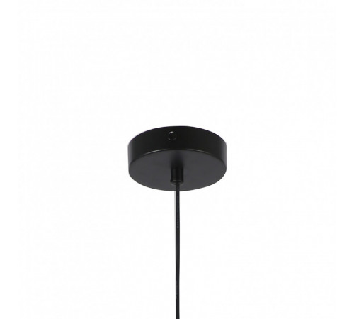 Подвесной светильник F-Promo Blister 2784-1P Подвесной светильник F-Promo Blister 2784-1P
