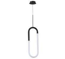 Подвесной светильник Arte Lamp Lumino A2233SP-20BK