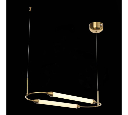 Подвесной светодиодный светильник ST Luce Olbia SL6004.313.02 Подвесной светодиодный светильник ST Luce Olbia SL6004.313.02