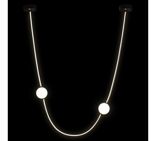 Подвесной светильник Loft IT Embrace 10242/800 Black Подвесной светильник Loft IT Embrace 10242/800 Black