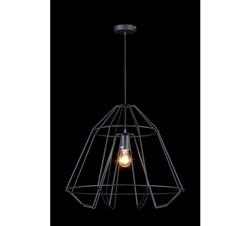 Подвесной светильник Natali Kovaltseva LOFT LUX 77027-1P BLACK Подвесной светильник Natali Kovaltseva LOFT LUX 77027-1P BLACK