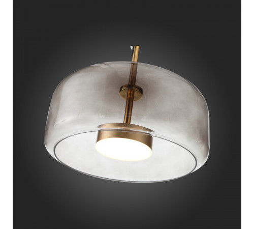 Подвесной светильник ST-Luce SL1053.243.01 Подвесной светильник ST-Luce SL1053.243.01