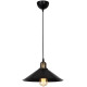 Подвесной светильник Toplight Delilah TL1606H-01BK