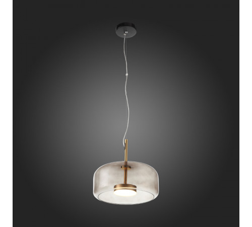 Подвесной светильник ST-Luce SL1053.243.01 Подвесной светильник ST-Luce SL1053.243.01