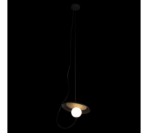 Подвесной светильник Loft IT Wonders 10237P Black Подвесной светильник Loft IT Wonders 10237P Black