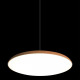 Подвесной светильник Loft IT Plato 10119 Orange