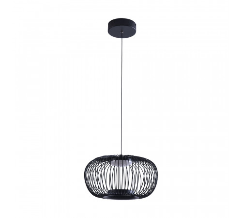 Подвесной светильник Arte Lamp Flare A3527SP-12BK
