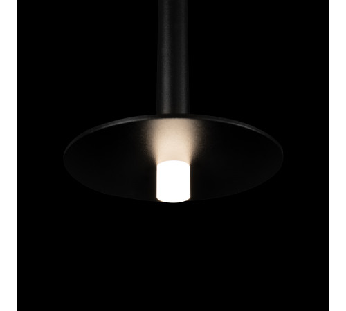 Подвесной светильник Loft IT Reed 10358/830 Disk Подвесной светильник Loft IT Reed 10358/830 Disk