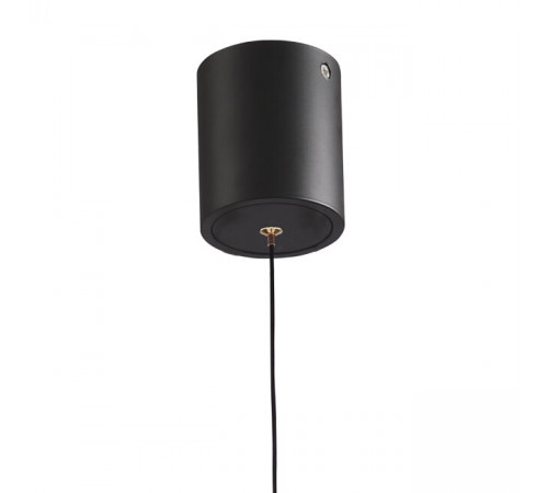 Подвесной светильник Lumien Hall Livin LH8028/1P-BK-PBK-SGD Подвесной светильник Lumien Hall Livin LH8028/1P-BK-PBK-SGD