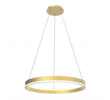 Подвесной светильник Lightstar Rotonda 736402