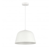 Подвесной светильник Evoluce Blank SLE1805-503-01