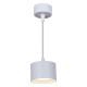 Подвесной светильник Reluce 53006-0.9-001LD GX53 WT