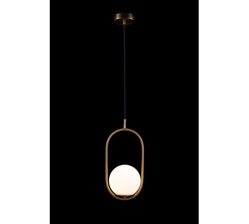 Подвесной светильник Loft IT Glob LOFT2595-A Подвесной светильник Loft IT Glob LOFT2595-A