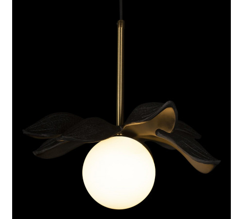 Подвесной светильник Loft IT Monro 10213/A Black Подвесной светильник Loft IT Monro 10213/A Black