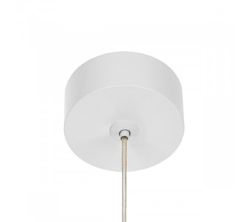 Подвесной светильник Citilux Bruno CL565010 Подвесной светильник Citilux Bruno CL565010