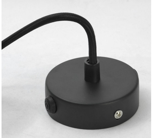 Подвесной светильник Lussole Loft LSP-9888 Подвесной светильник Lussole Loft LSP-9888